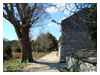 Stone House