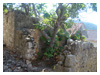 Stone House